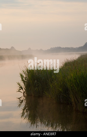 Mist over Hickling Broad Norfolk Broads United Kingdom