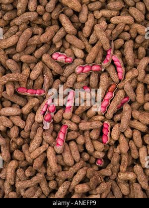Raw peanuts on sale at market, in shell and shelled. Stock Photo