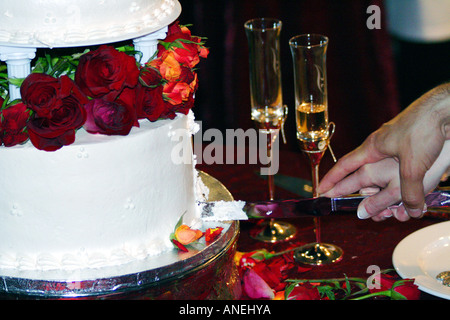 Cutting into a Wedding Cake with Flower Peddals Stock Photo