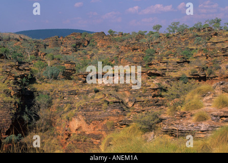 Mini Bungle Bungle formations, Hidden Valley, Mirima National Park, Western Australia. Stock Photo