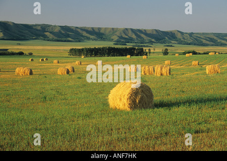 Qu'Appelle Valley near Grenfell, Saskatchewan, Canada. Stock Photo