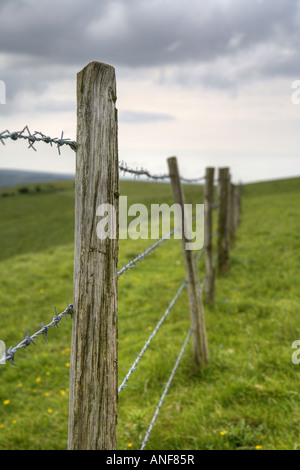 'Old barbed wire fence' Sussex 'South Downs' hdr Stock Photo