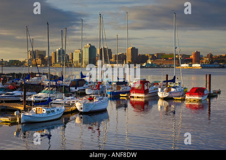Marina boats in early morning. Halifax, Nova Scotia, Canada. Stock Photo