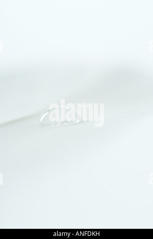 Drop of water on white feather, extreme close-up Stock Photo