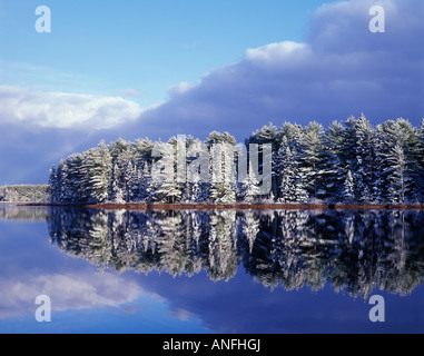 Snow covered trees reflected in Mew Lake, Algonquin Provincial Park, Ontario, Canada.