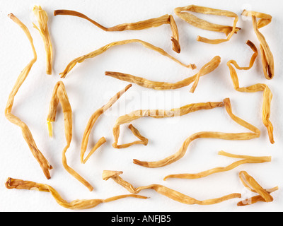 CHINESE DRIED LILY FLOWER Stock Photo