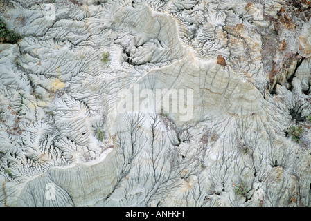 Dinosaur provincial park, alberta, Canada. Stock Photo