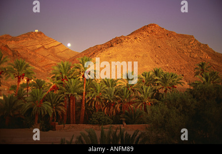 Moon rising over the hills, Jebel Zagora, above Amazrou palmery in Zagora. Southern Morocco Stock Photo