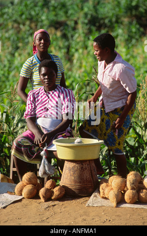 Three rural women selling coconuts and peanuts at roadside near the bridge over the Limpopo River, Xai Xai, Mozambique Stock Photo