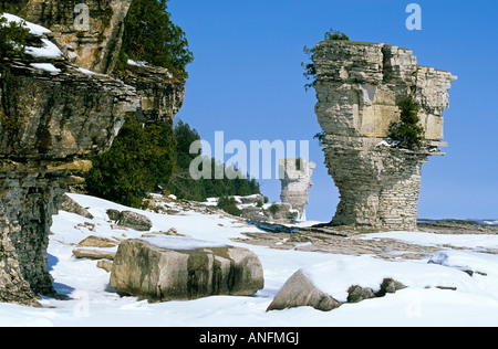 The famous 'flowerpots', eroded limestone formations, located on the shoreline of Flowerpot Island, Georgian Bay, in Fathom Five Stock Photo