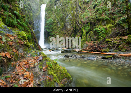 Little Niagara falls in Goldstream Provincial Park, Vancouver Island, British Columbia, Canada. Stock Photo