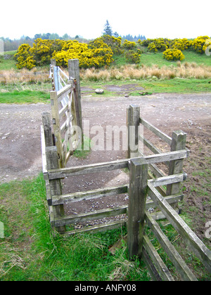 Metal farm gate with wooden pedestrian side gate Stock Photo