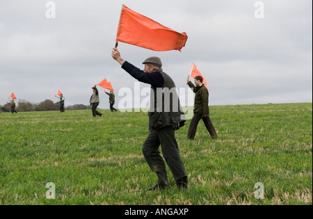 Driven Shooting, beaters with red warning flags flushing out birds. Game bird shoot shooting on the St Clair's Estate, Hampshire, England 2000s UK Stock Photo