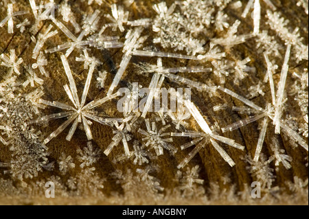 spell crystals cold ice during alaska lynx creek alamy grown weather