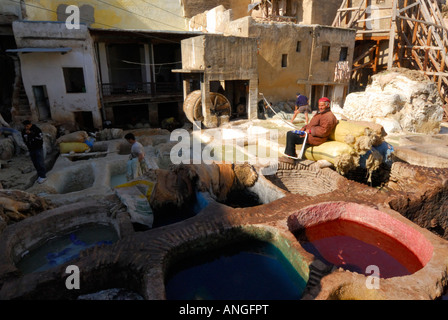 Tannery, Fez, Morocco Stock Photo