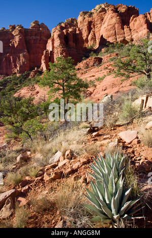 Red cliffs off Schnelby Hill Road Sedona Arizona Stock Photo