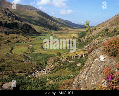 View to Nant Ffrancon valley with flowering heather in Snowdonia National Park Ogwen Gwynedd North Wales UK Britain Stock Photo