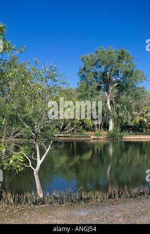 Saltwater Lake in 'Flecker Botanic Gardens'. Cairns, Queensland. Stock Photo