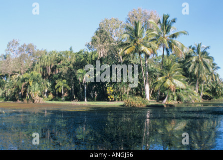 Freshwater Lake in 'Flecker Botanic Gardens'. Cairns, Queensland. Stock Photo