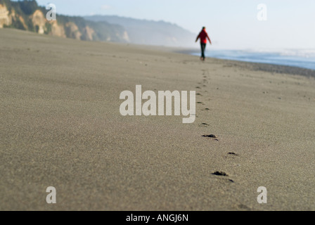 Footprints of female walking down empty beach Gold Bluffs campground on California's isolated northern coast in Prairie redwoods Stock Photo