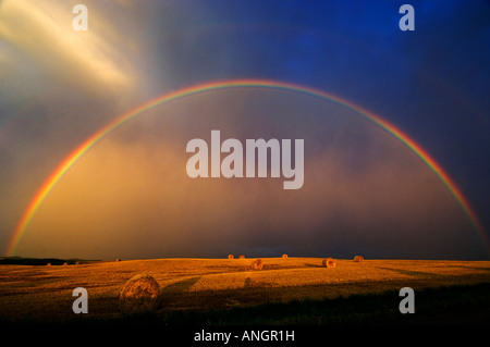 Rainbow and bales after prairie storm at sunset near Cypress River, Manitoba, Canada. Stock Photo