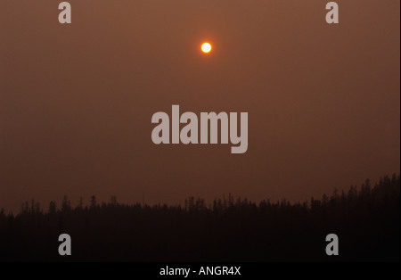 Sun creates unearthly scene because of smoke from forest fires, Glacier National Park, Montana  USA Stock Photo