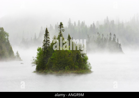 Island in Fenton Lake in fog and rain, Superior Provincial Park, Ontario, Canada. Stock Photo