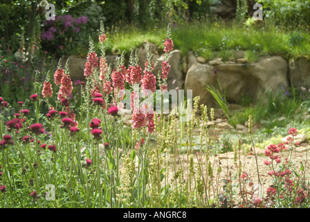 The Wildlife Trusts Lush Garden designed by Stephen Hall at Chelsea