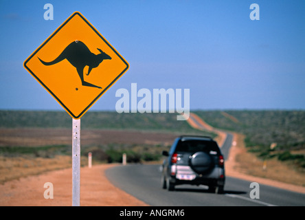 Kangaroo Road Sign, Western Australia, Australia Stock Photo