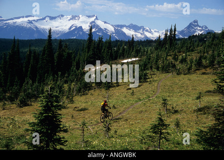 A female mountain biker making her way on the Keystone-Standard Basin trail in Revelstoke, British Columbia, Canada. Stock Photo