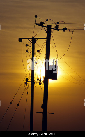 Electricity poles and wires supplying power to the remote village of Bawdsey in East Suffolk UK Stock Photo