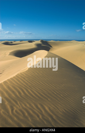 Maspalomas Sand Dunes, Gran Canaria, Canary Islands, Spain Stock Photo