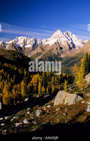 Sunset, Columbia Mountains. Jumbo Pass, Jumbo Mountain, British ...