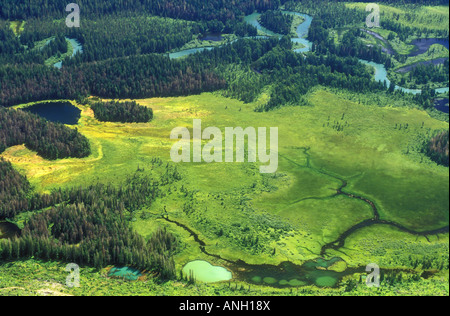 Mitchell River Wetlands, British Columbia, Canada. Stock Photo