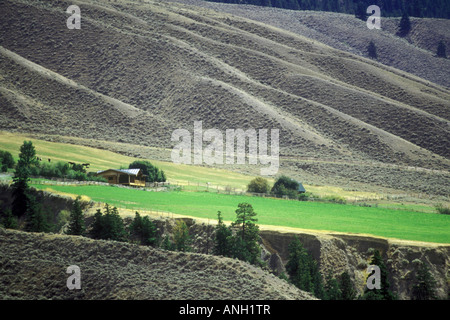 ranch above Fraser River, British Columbia, Canada. Stock Photo