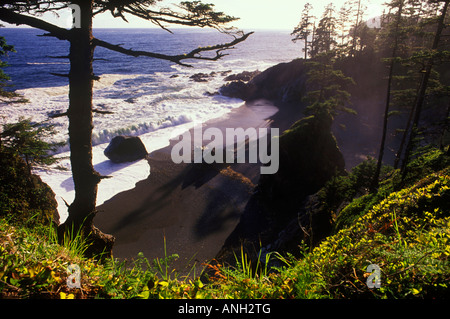 West Coast Trail, Pacific Rim National Park, Vancouver Island, British Columbia, Canada. Stock Photo