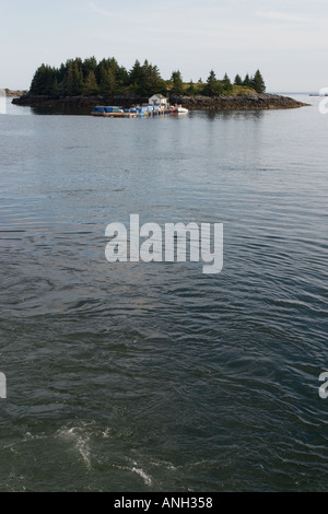 Island in Carvers Harbor, Vinalhaven Island, Maine, as seen from ferry in port Stock Photo