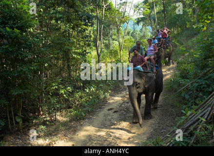 Ban Kwan Elephant Camp, Ko Chang, South Eastern Thailand Stock Photo