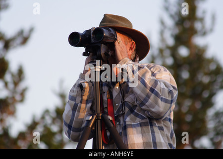 Man Looking through Binoculars at Wildlife, Yellowstone National Park Stock Photo