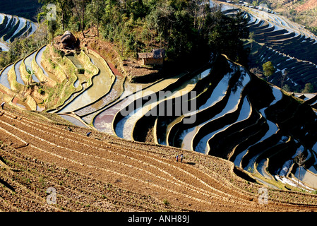 rise terrace in China Yunnan Yunyang Stock Photo