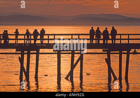 The 500m-long White Rock Pier & Boundary Bay at sunset, White Rock, British Columbia, Canada. Stock Photo