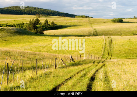 Tracks running along a fence, Junction sheep Area, British Columbia, Canada. Stock Photo