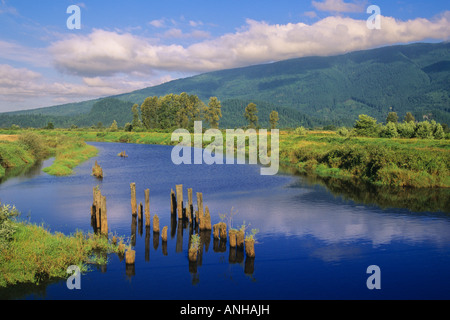 Alouette River near Pitt Meadows, British Columbia, Canada. Stock Photo