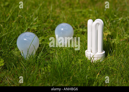 Long Life and Traditional Lightbulbs growing in the Grass Stock Photo