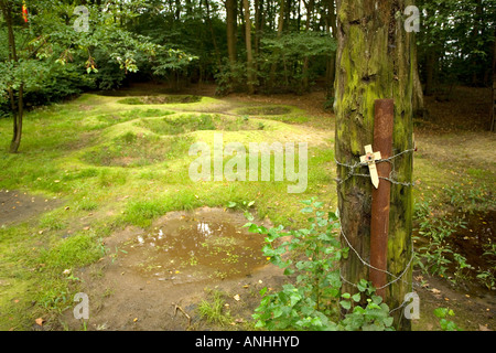 Old tree pockmarked with shell and bullete scars and preserved WW1 shell holes and trenches at Sanctuary Wood near Ypres Belgium Stock Photo