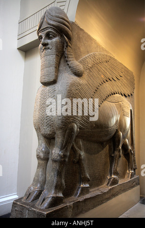 Huge Assyrian winged bull- British Museum Stock Photo