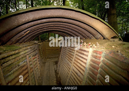 Preserved WW1 shell holes and trenches at Sanctuary Wood near Ypres Belgium Stock Photo