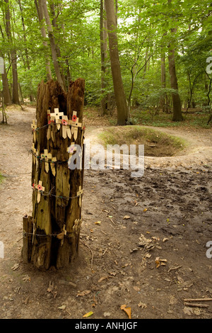 Old tree pockmarked with shell and bullete scars and preserved WW1 shell holes and trenches at Sanctuary Wood near Ypres Belgium Stock Photo