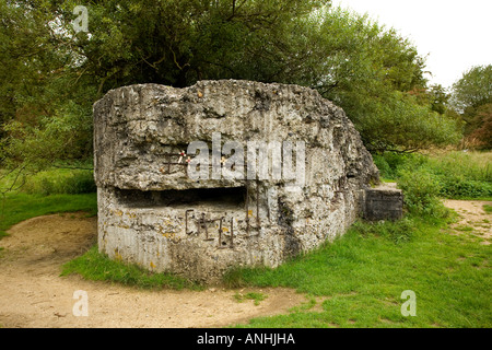 WW1 Concrete bunker on Hill 60 near Ypres Belgium Stock Photo