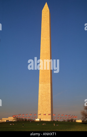 USA Washington DC The George Washington Monument in the Autumn Circle of American Flags Stock Photo